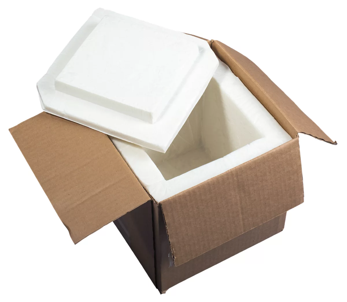 Thermal Boxes - temperature-controlled packaging solutions for sensitive products